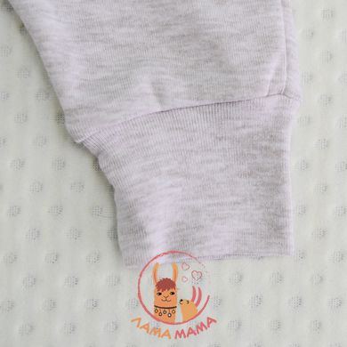 Трикотажные штаны для новорожденных Бежевый меланж Minikin